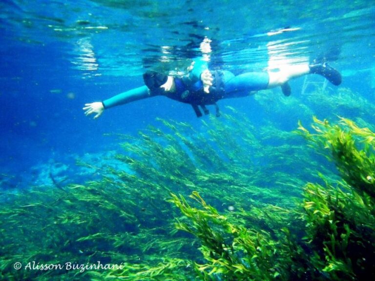 ecoadventures-atrativo-89-DSC04707_GD-