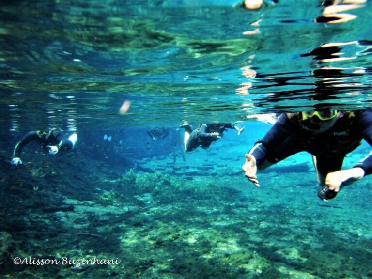 ecoadventures-atrativo-93-DSC03175 (1024x768)_GD-