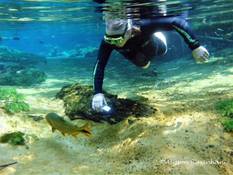 ecoadventures-atrativo-93-DSC03220 (1024x768)_GD-