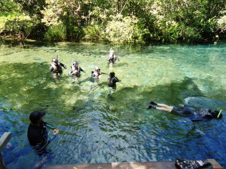 ecoadventures-atrativo-93-DSC03687_GD-