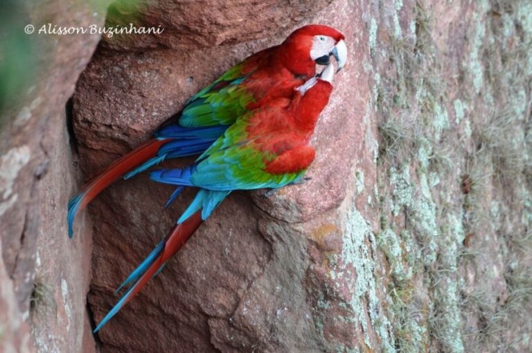 ecoadventures-atrativo-93-DSC_0241_GD-