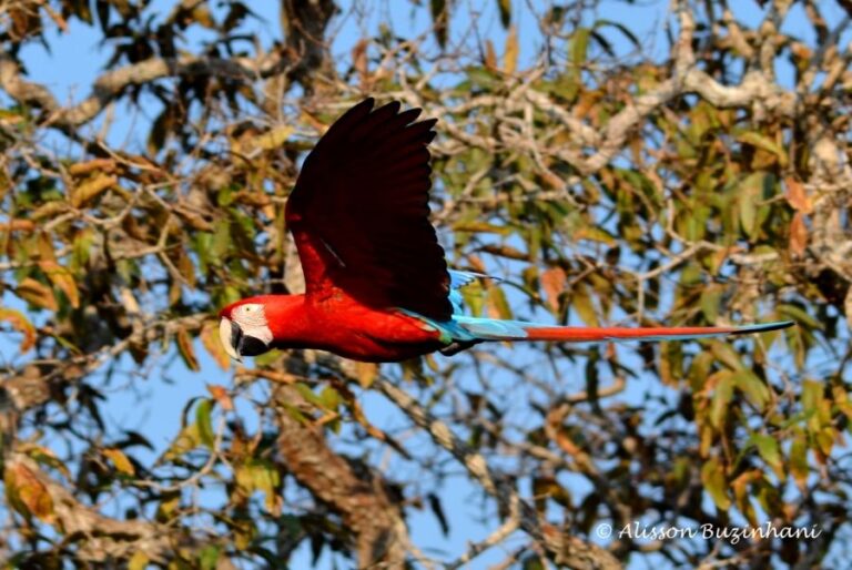 ecoadventures-atrativo-93-DSC_0259_GD-