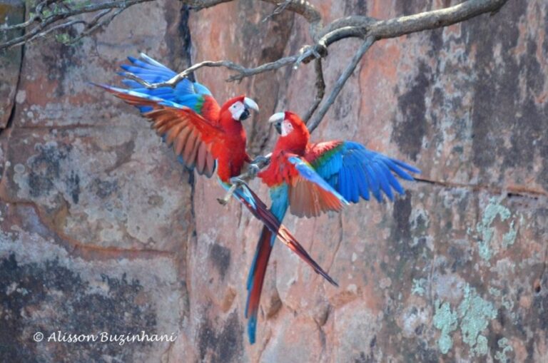 ecoadventures-atrativo-93-DSC_8973_GD-