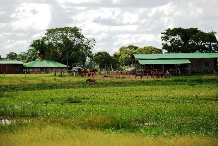 ecoadventures-hospedagem--Camping Sao joao 01_GD-