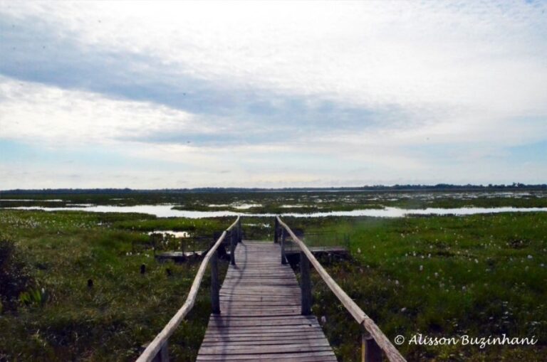 ecoadventures-hospedagem--DSC_1209 (1024x678)_GD-