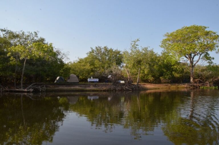 ecoadventures-hospedagem--DSC_6546 (1024x678)_GD-