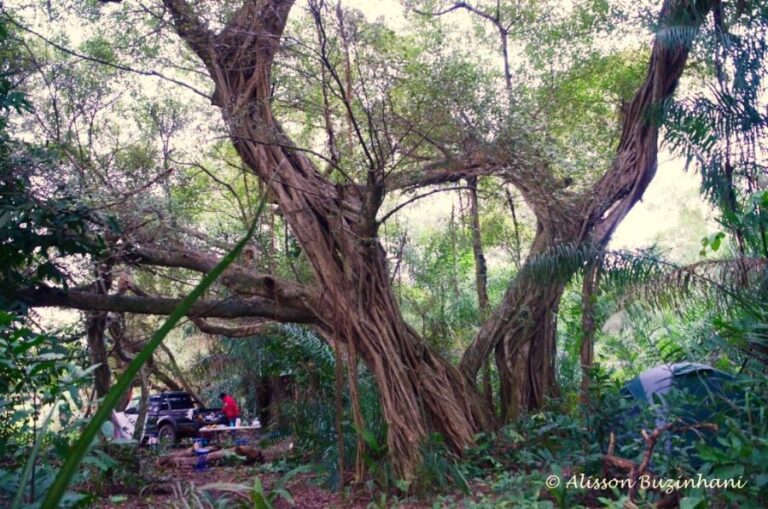 ecoadventures-hospedagem--Eco Adventures 011_GD-