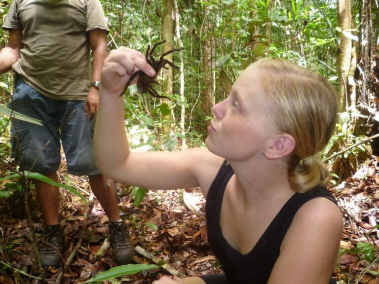 ecoadventures-hospedagem--rarantula4 (1024x768)_GD-