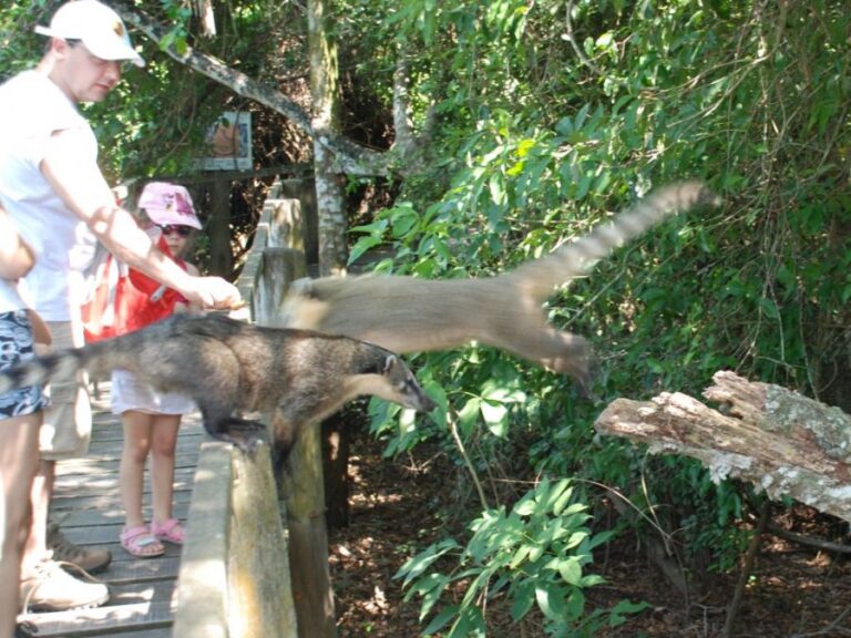 ecoadventures-hospedagem--San Francisco 020_GD-