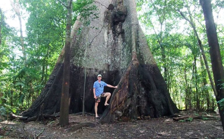 12360282_1722197658009901_1104218816281197509_n