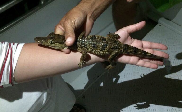 12932754_1759026600993673_6680788126886331540_n