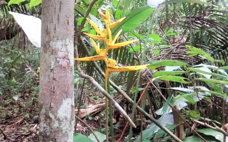 12933127_1759066154323051_5945269070772292449_n