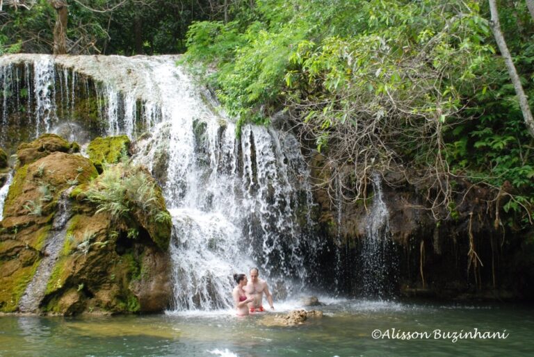 ????????????????????????????????????