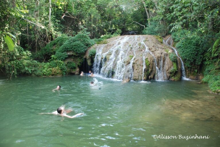 ????????????????????????????????????