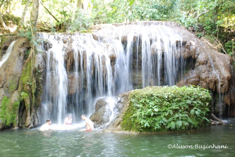 ????????????????????????????????????