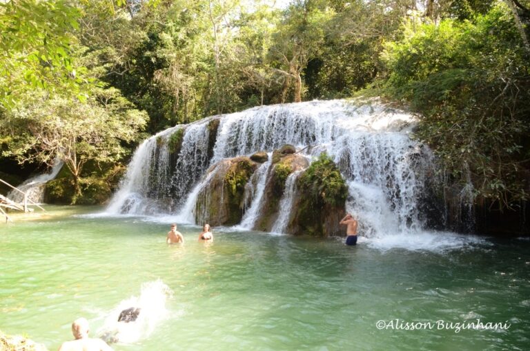 ????????????????????????????????????