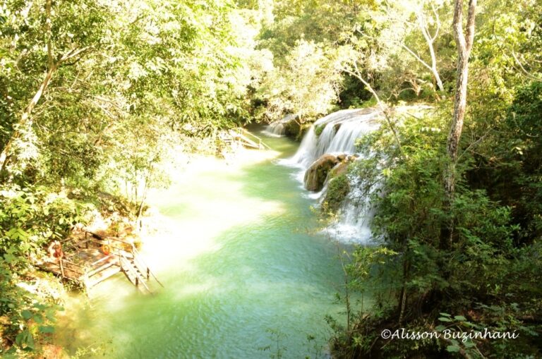 ????????????????????????????????????