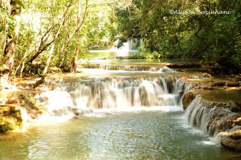 ????????????????????????????????????