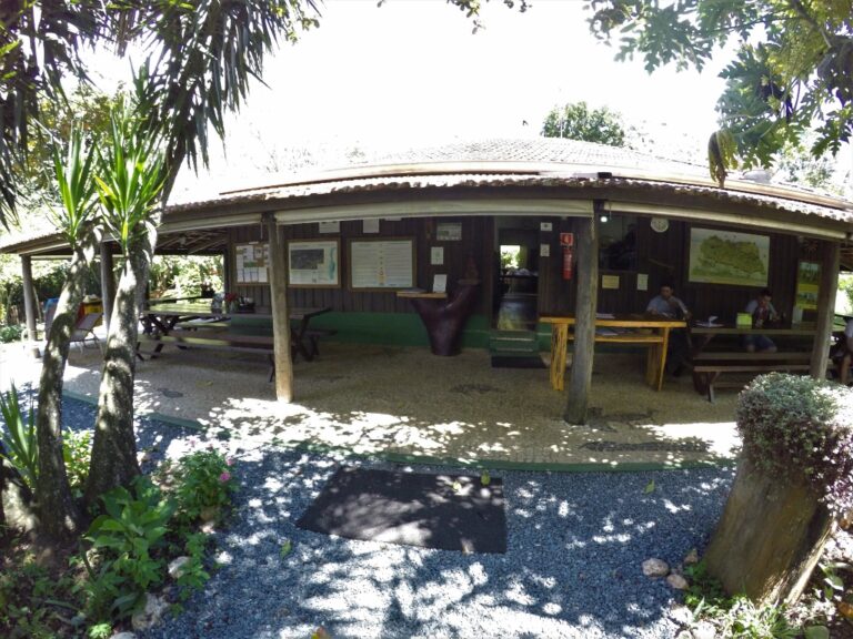 DCIM100GOPROGOPR1307.