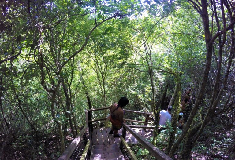 DCIM100GOPROGOPR1404.