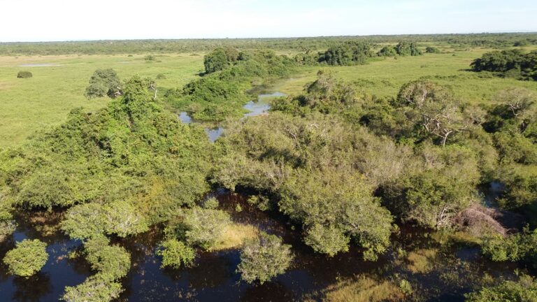 Pouso Alegre Pantanal (8)
