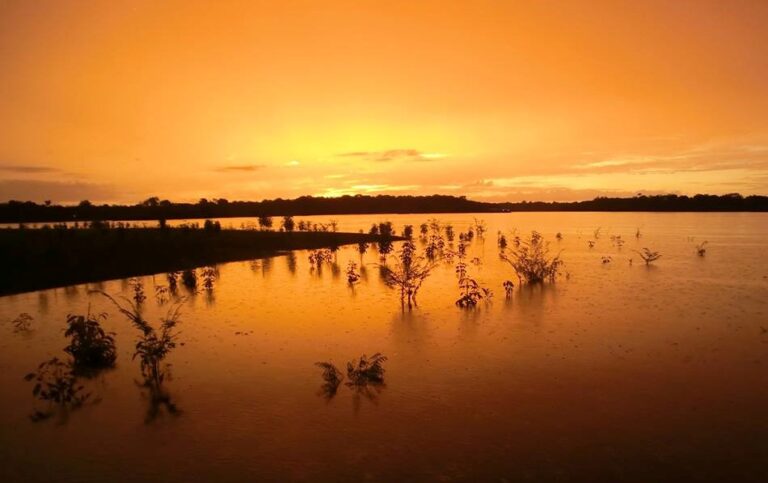 sunrise-from-floating-house-1