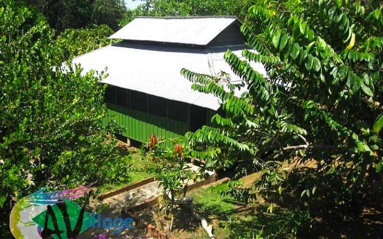 Anavilhanas Village 09